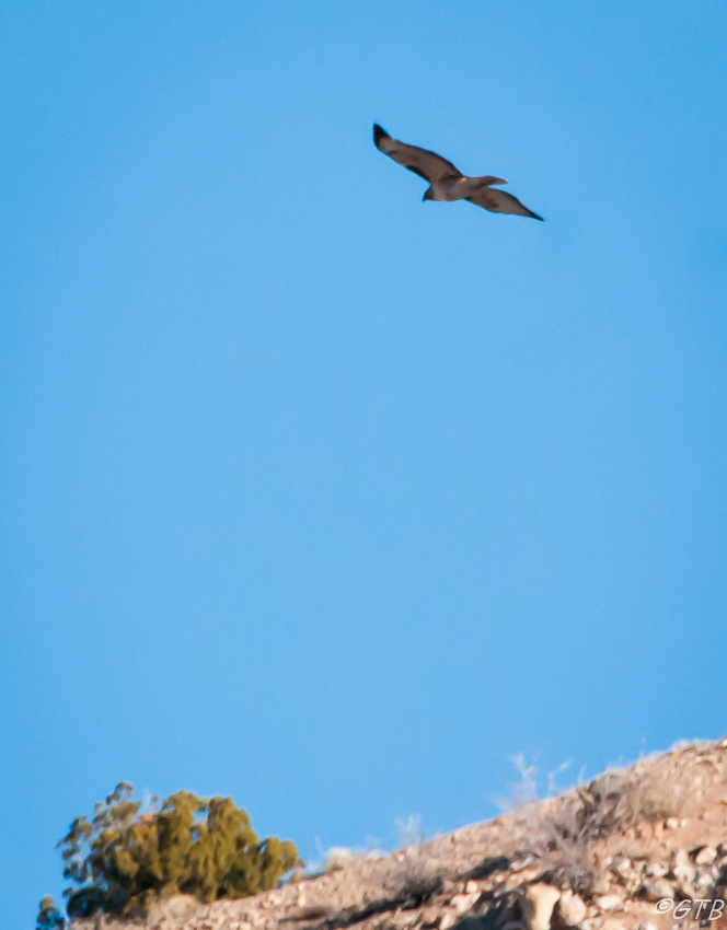 gtb_Taos_Jan 2013-60.jpg