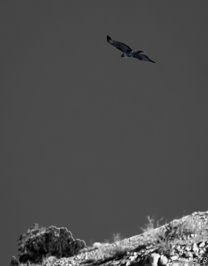 gtb_Taos_Jan 2013-61.jpg