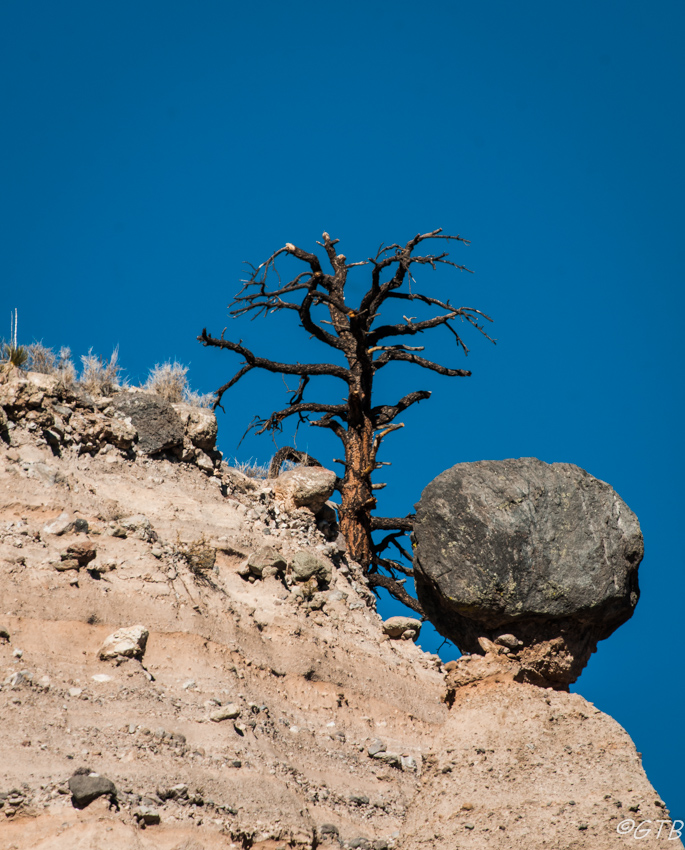 gtb_Taos_Jan 2013-66.jpg