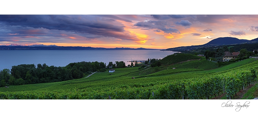 pano_DS301862_ DS301868