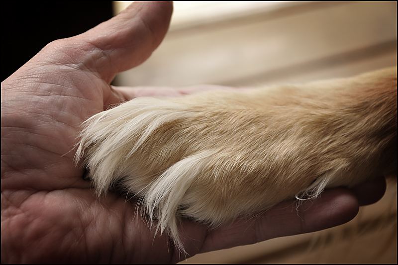 Handshake