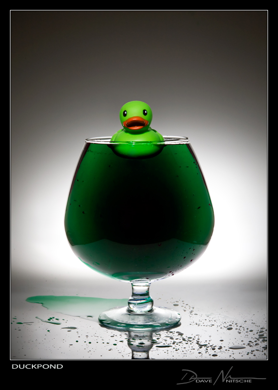 Duck Pond