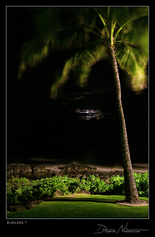 Kauai 9