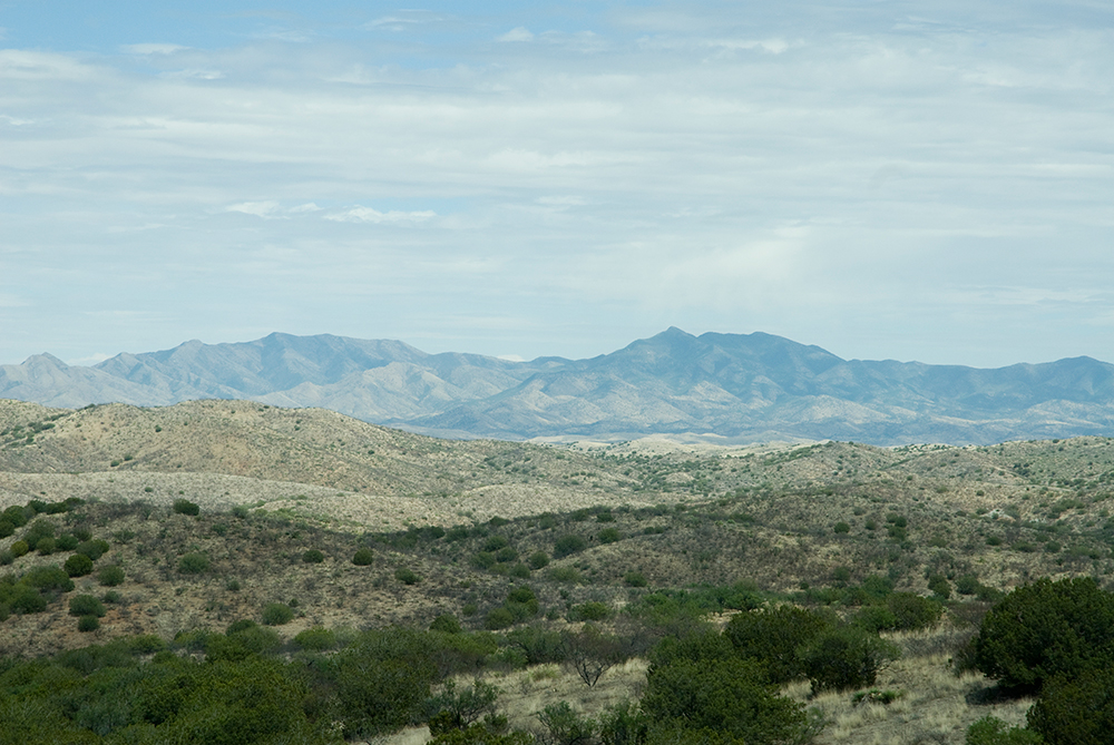 _DSC5547.jpg