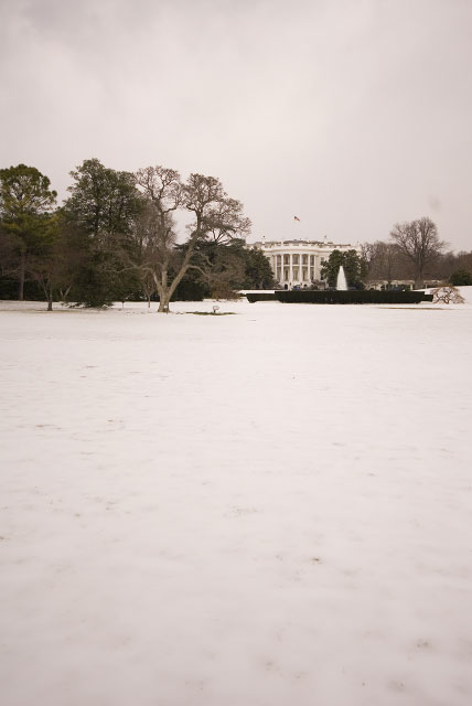 _DSC3834.jpg