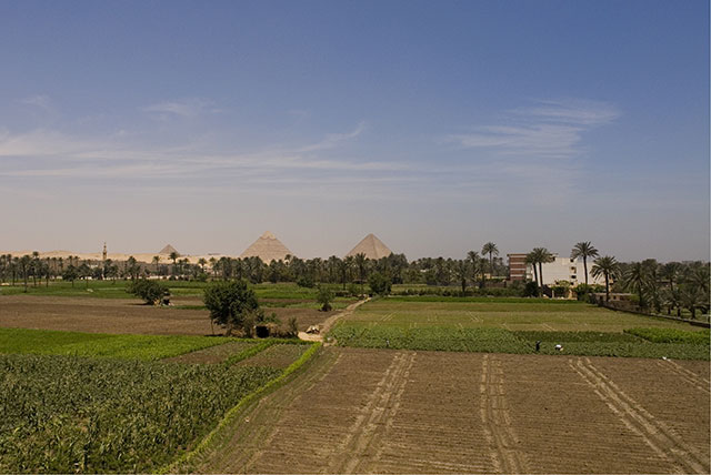 egypt 8.jpg