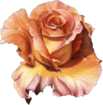 La fleur magique