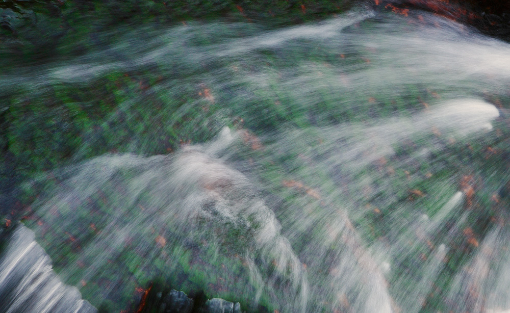 water over Moss