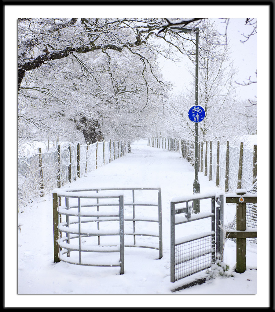 Blue sign