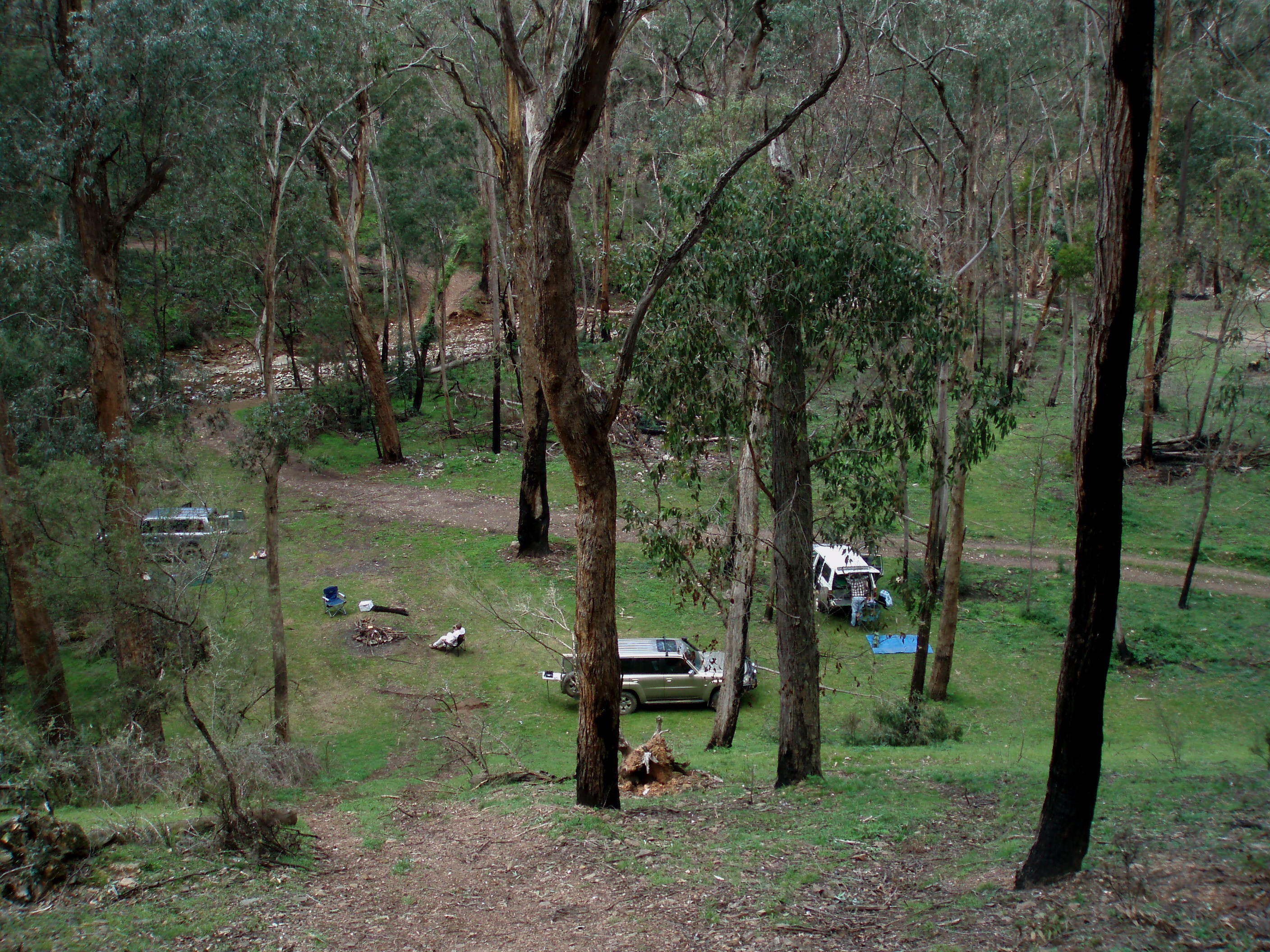 Camp at Mt Useful Creek