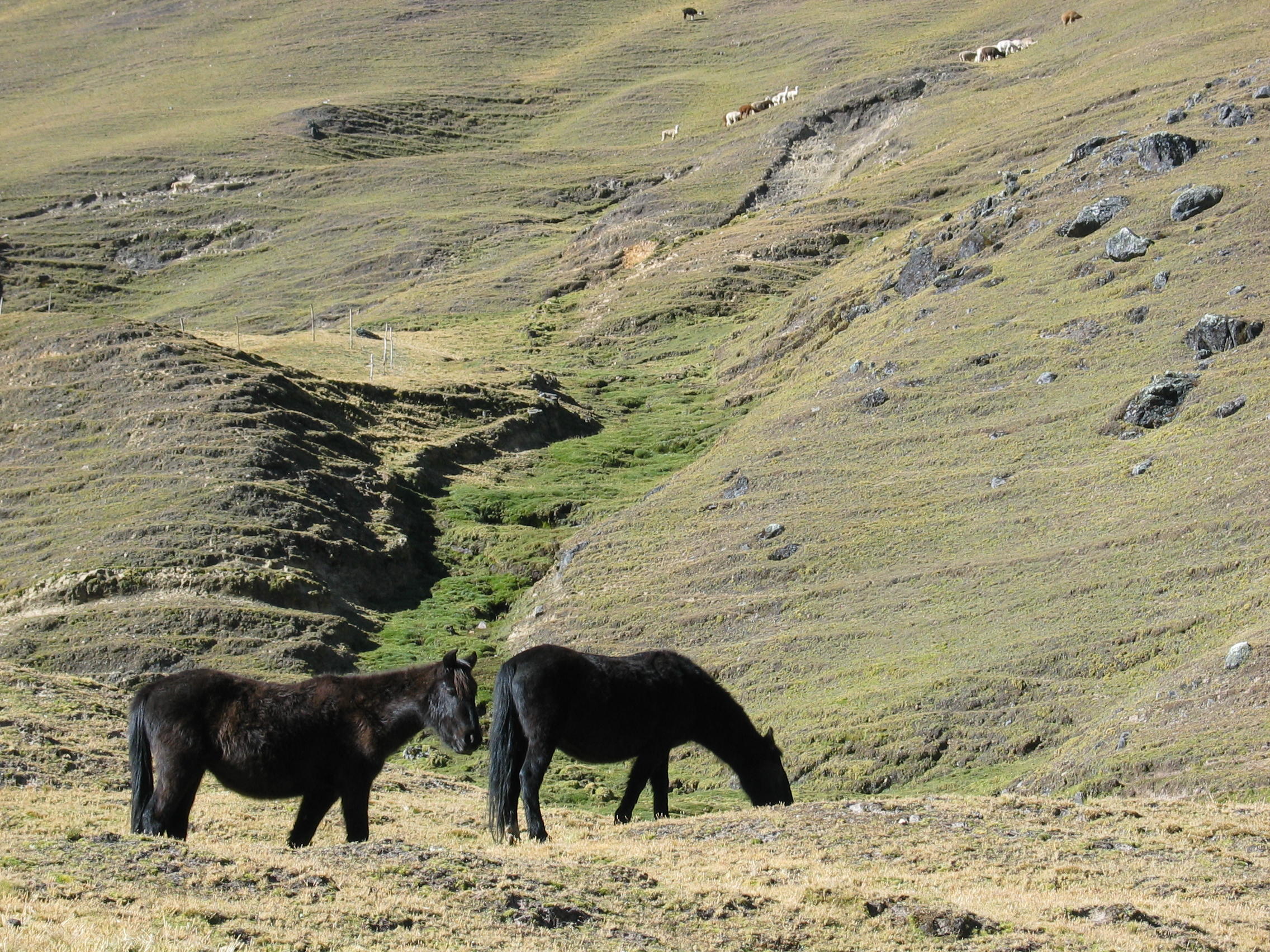 Lares Valley