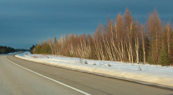 road to Miramichi