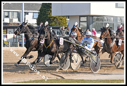 _MBF2008.jpg