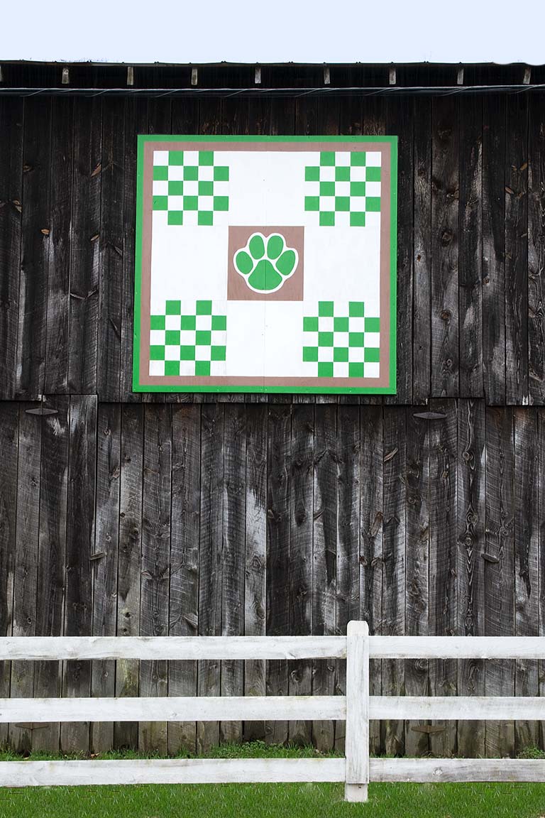 Kentucky Barn Quilt