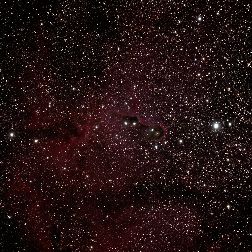 IC1396. The Elephant Trunk