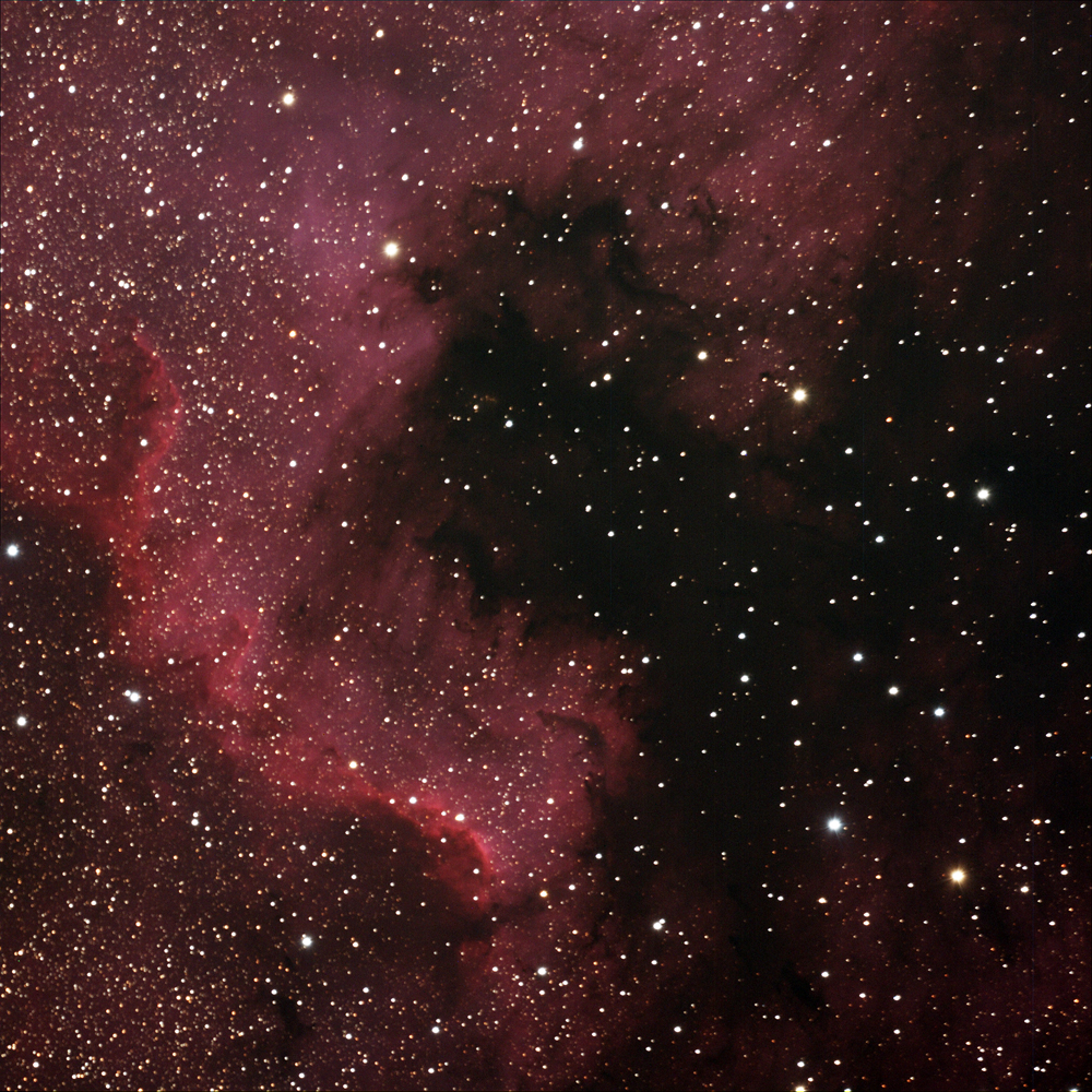 NGC7000 North American Nebula