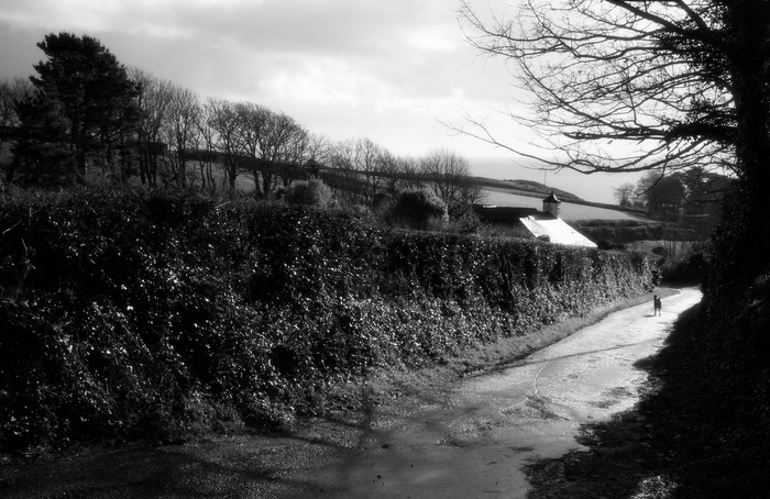 Farm near Strete, Devon