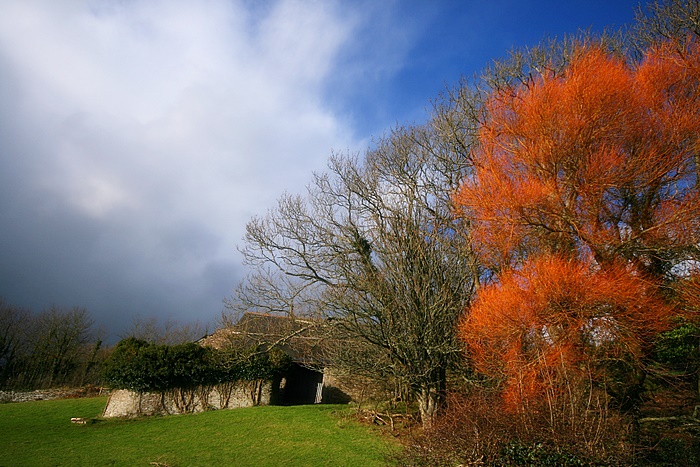 Strete, Devon