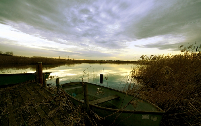 Strumpshaw Fen