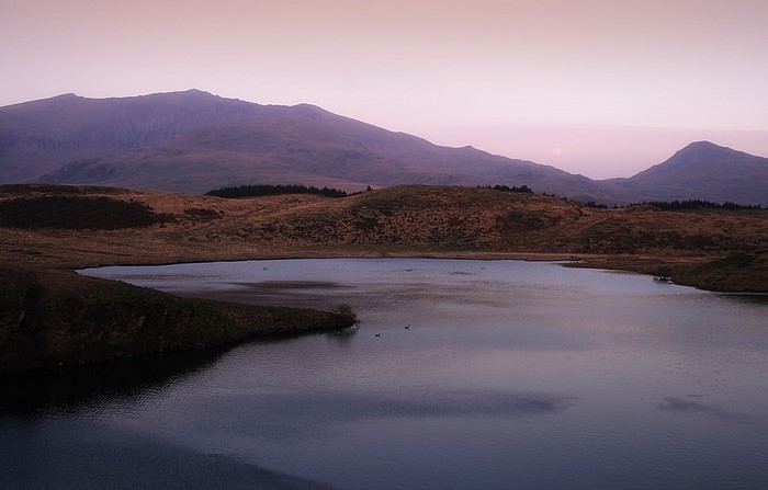 Snowdon (Yr Wyddfa) from Llyn y Dywarchen