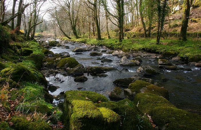 Afon Artro