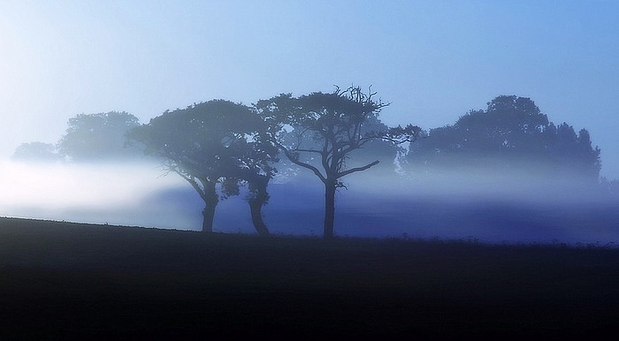 Dawn, Lingwood