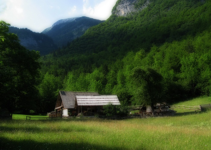 Voje Valley