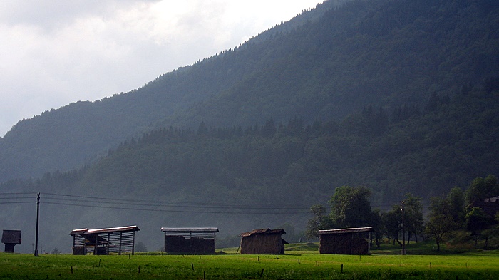 Ubiquitous Slovenian Hayracks
