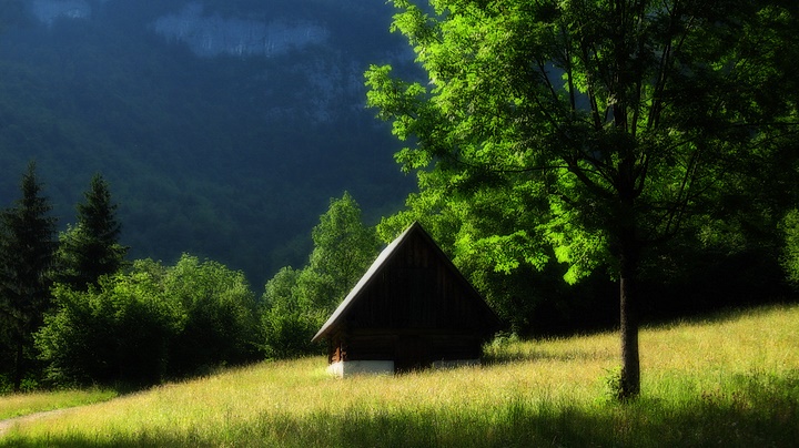 Voje Valley
