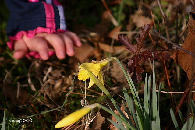Spring in the Neighborhood
