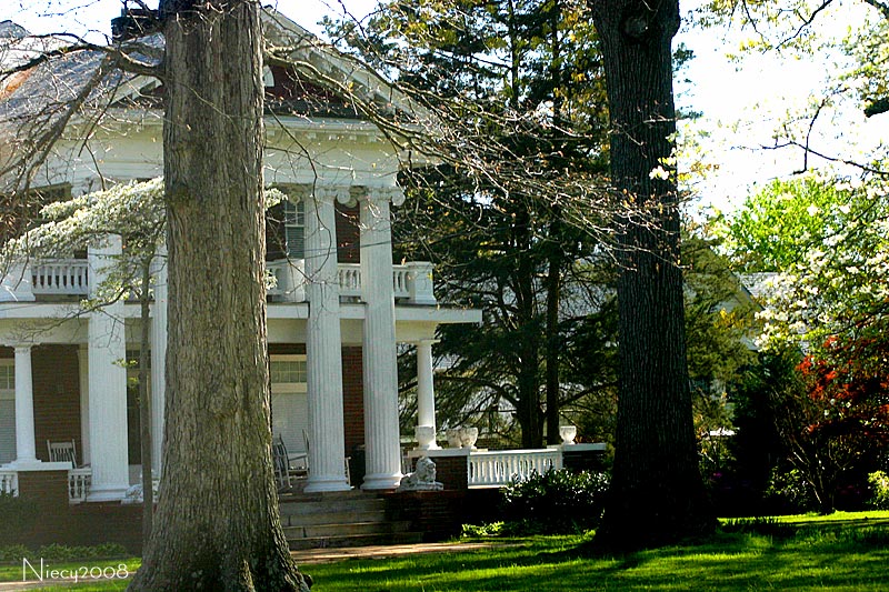 Spring in the Neighborhood