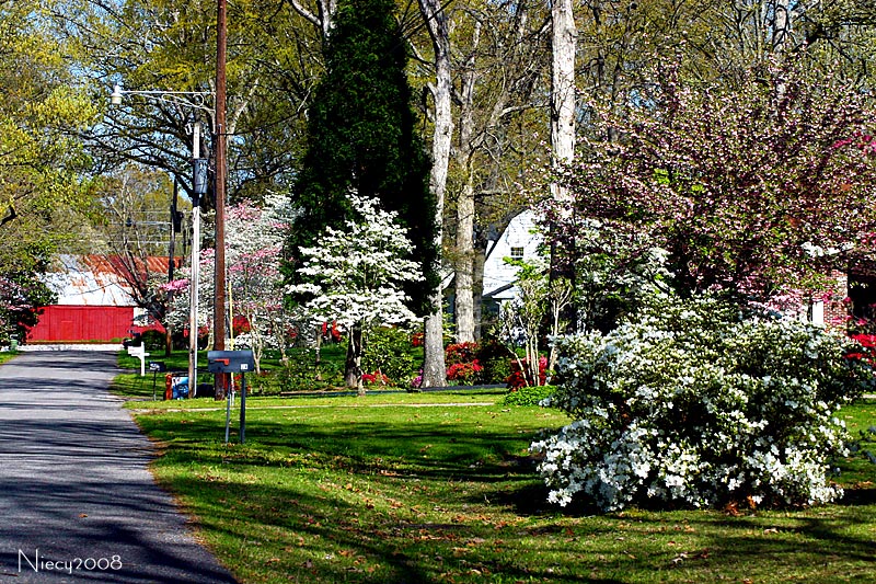 Spring in the Neighborhood