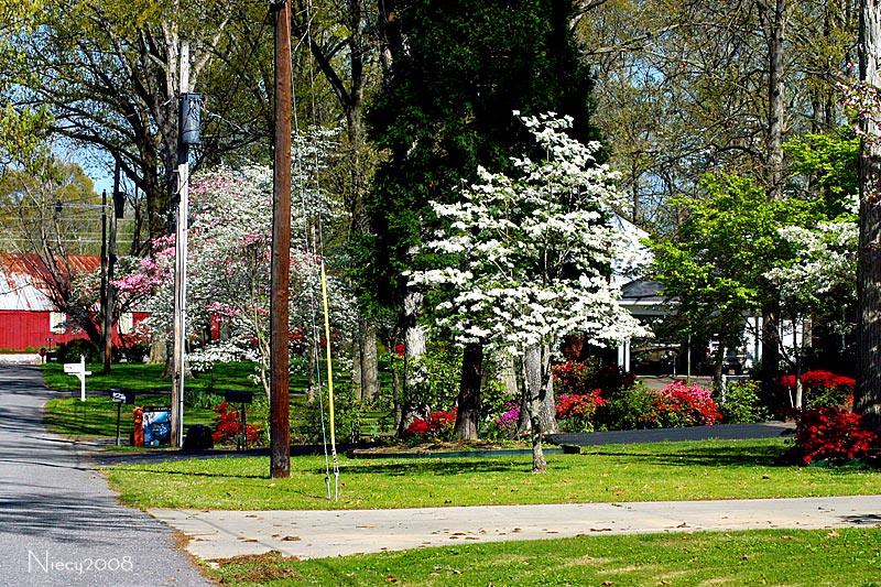 Spring in the Neighborhood