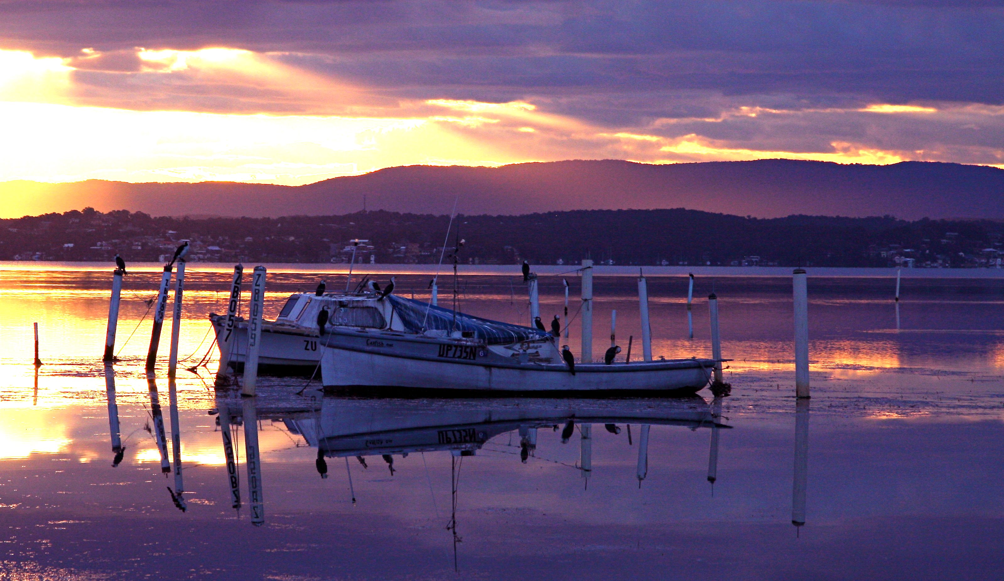 Moorings Black Neds Bay NSW.jpg