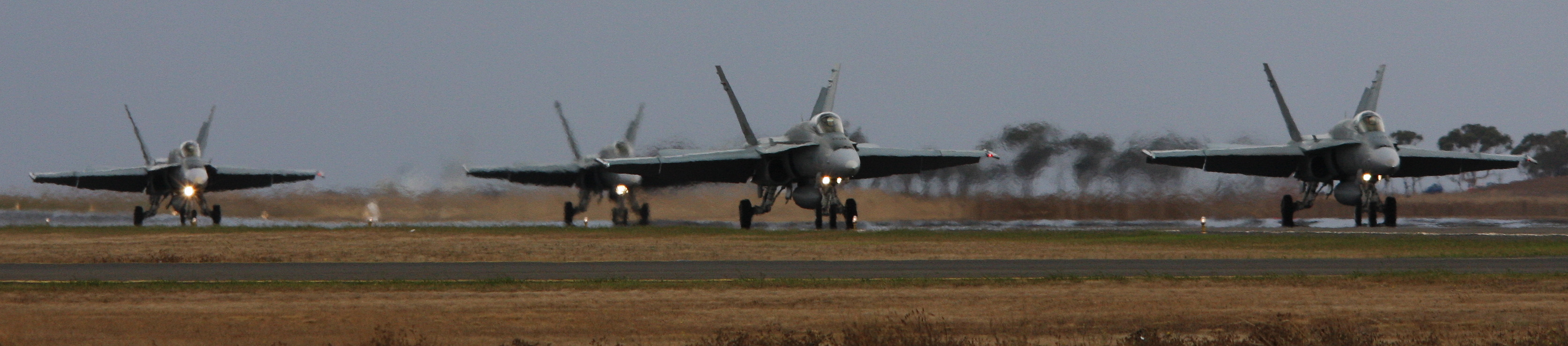 Hornets swarm to the nest.jpg