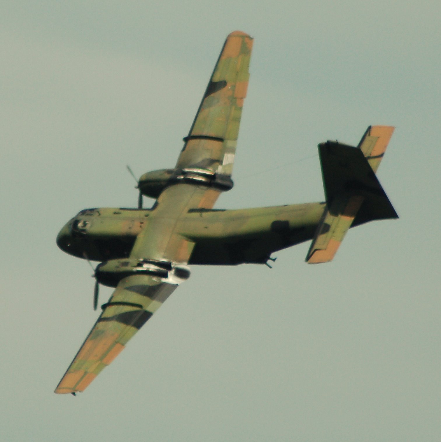 DSC_0016.JPG