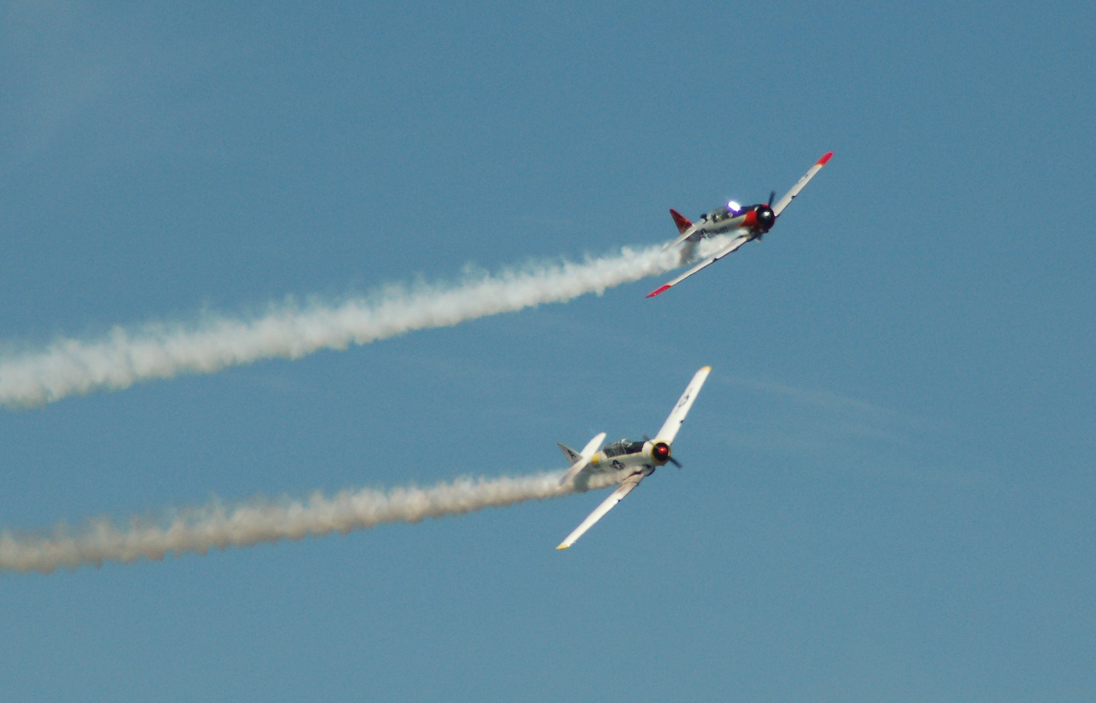 DSC_0454.JPG