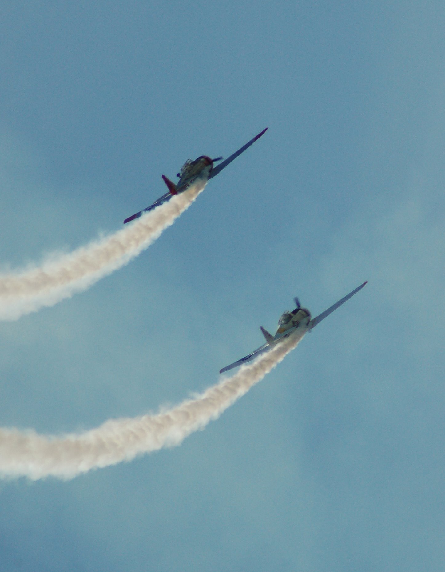 DSC_0467.JPG
