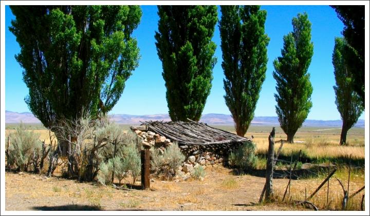 Old homestead