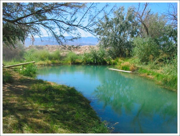 Frog Pond/Bordello HS