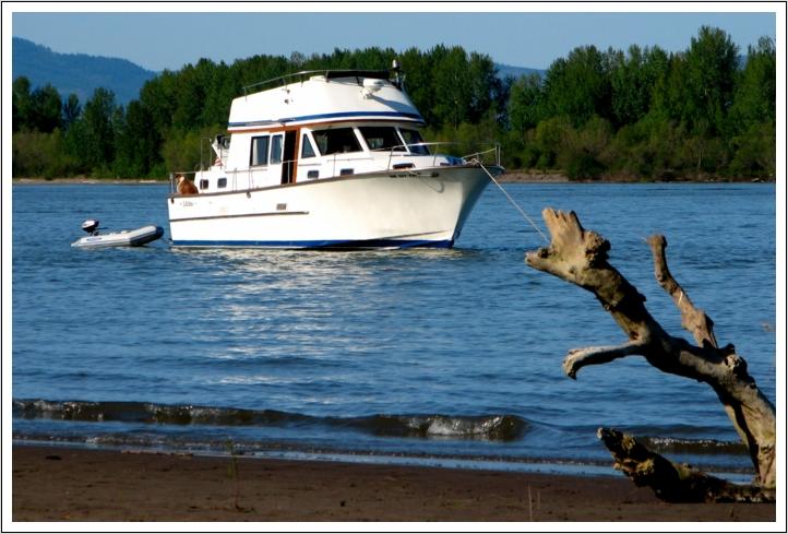 Collins Beach on Sauvie Island over the years