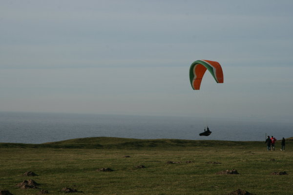 Hngflygare p branten mot havet