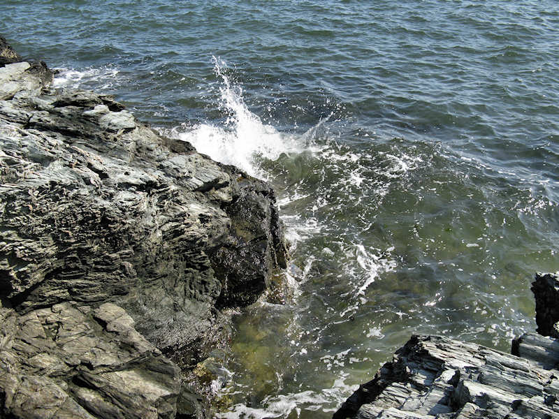 Savin Rock Shoreline