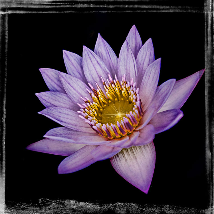 Framed3.JPG