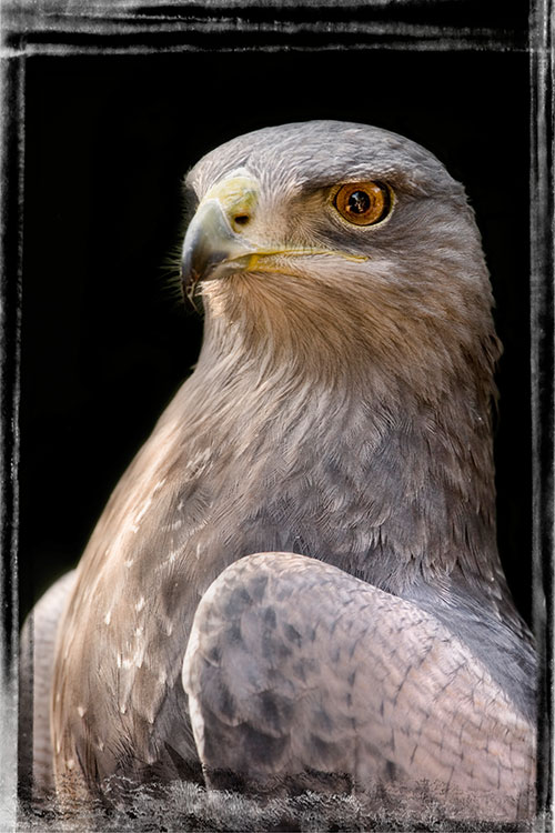 Framed8.JPG