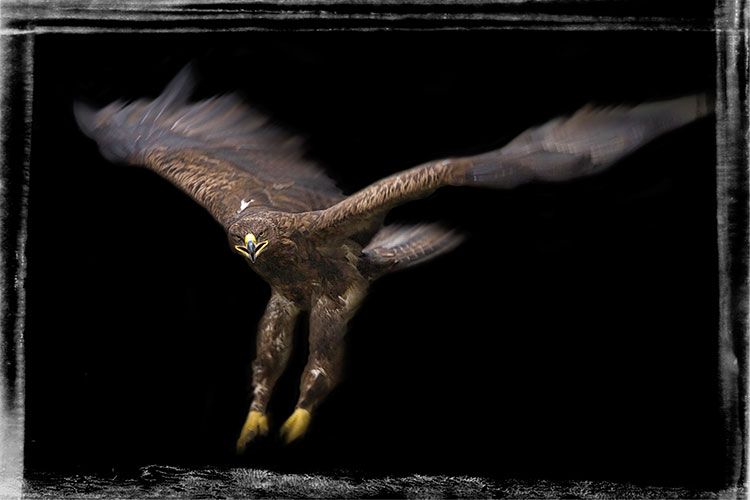 Framed9.JPG