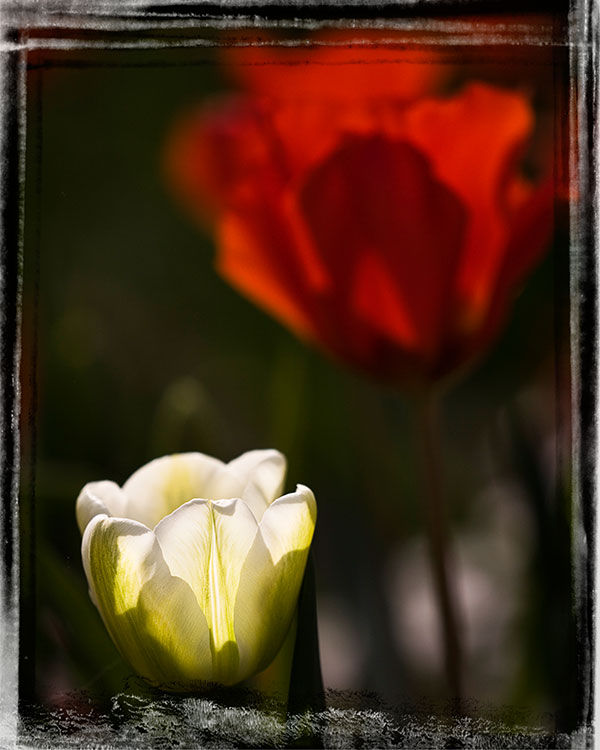 Framed13.JPG