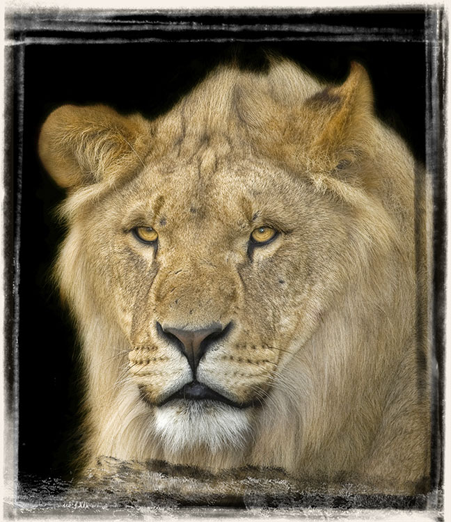 Framed22.JPG