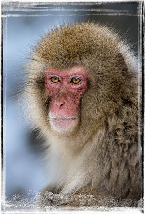 Framed31.JPG