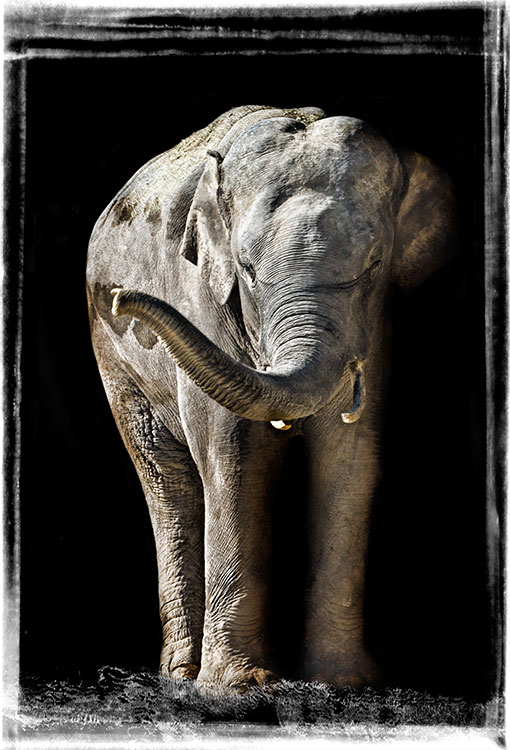 Framed32.JPG